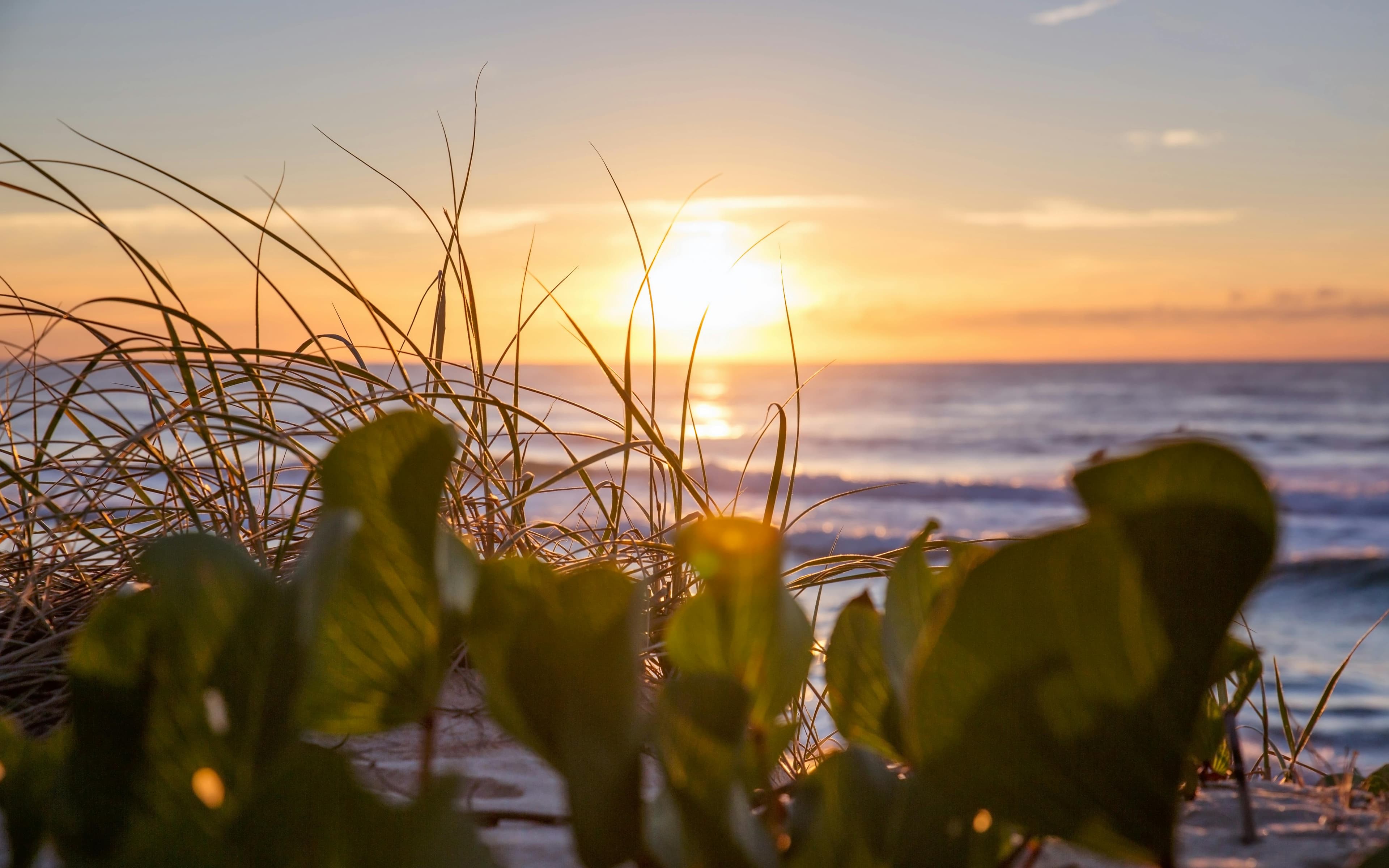 Gold Coast Estate House - Image 1