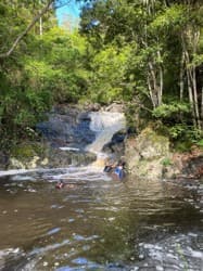 Sunshine Coast - Conondale Hinterland Acreage – 1/3 Share