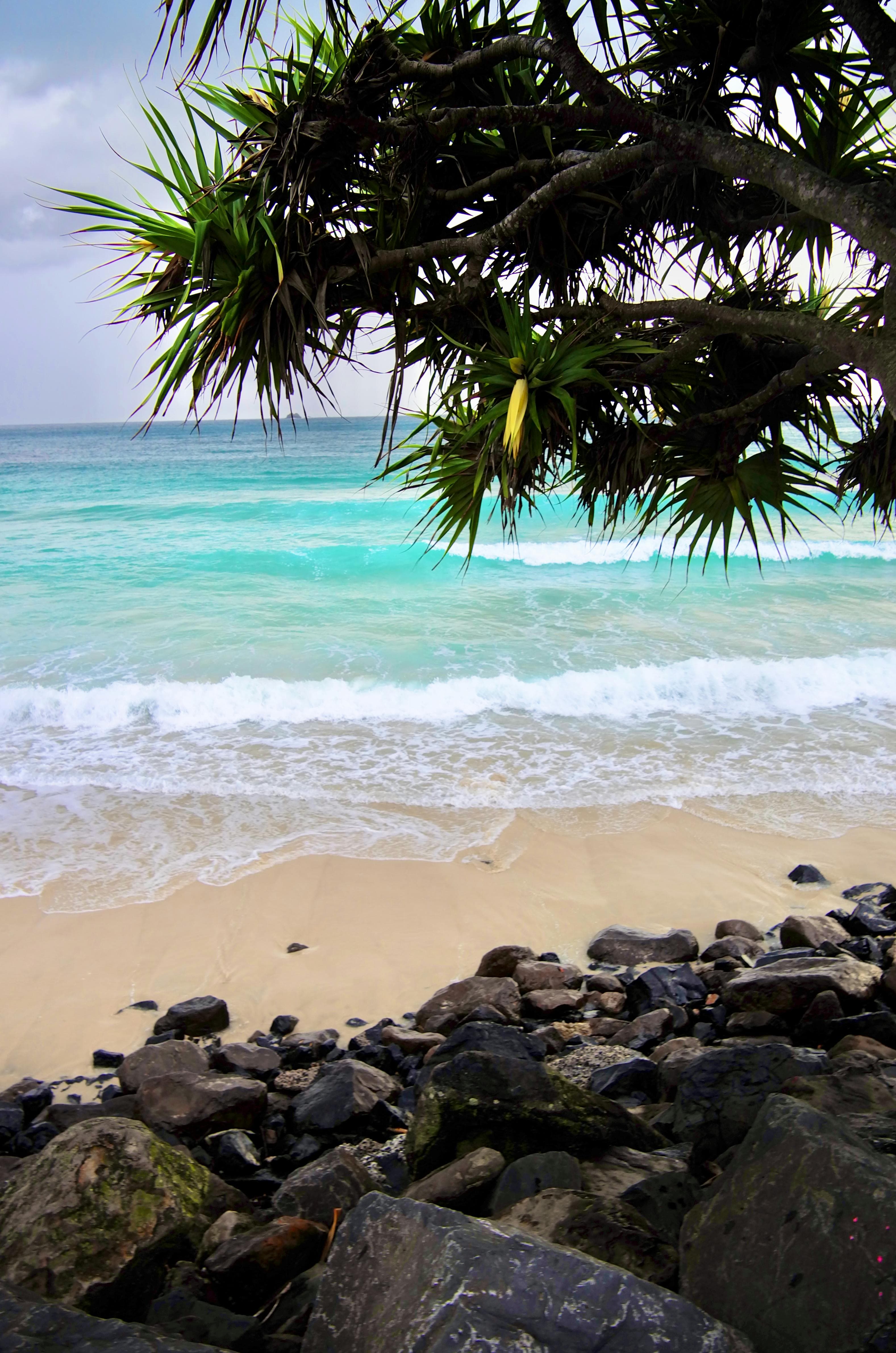 Byron Bay Beach Apartment